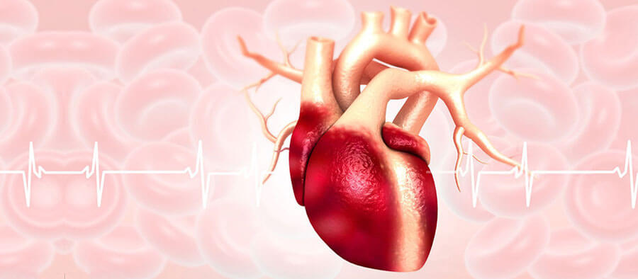 Cardiology