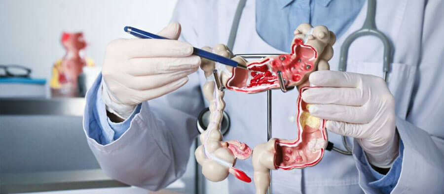 Gastroenterology