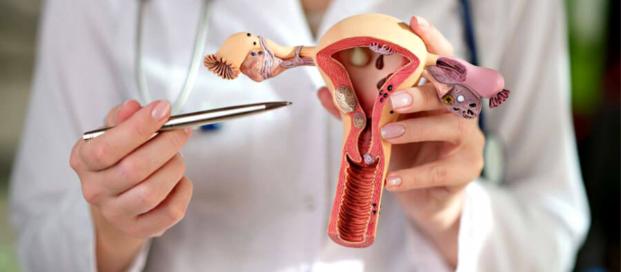 Gynaecology