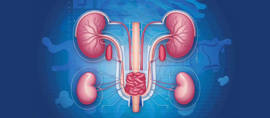 Urology