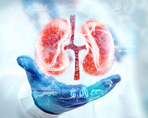 Urology